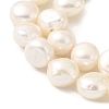 Natural Cultured Freshwater Pearl Beads Strands PEAR-A006-09F-4