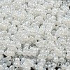 Glass Seed Beads SEED-K009-02B-24-3