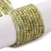 Natural Green Garnet Beads Strands G-A235-A02-01-1