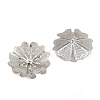 Brass Filigree Cabochons KK-CBACEE9-02A-P-2