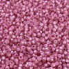 MIYUKI Round Rocailles Beads SEED-G007-RR0556-3