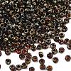 MIYUKI Round Rocailles Beads SEED-X0057-RR4503-1