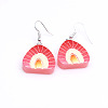 304 Stainless Steel & Resin Dangle Earrings WG56BB9-01-1