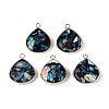 Dyed Natural Imperial Jasper Pendants G-Q601-05G-01-1
