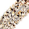 Natural Spiral Shell Beads Strands SSHEL-G024-02-1