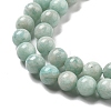 Natural Amazonite Beads Strands LS-G-L618-A01-6mm-4