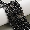 Natural Tourmalinated Quartz Beads Strands G-C268-B06-02-1