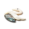 Natural Freshwater Shell & Paua Shell & White Shell Cabochons SHEL-C009-02-2