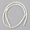 Natural Freshwater Shell Beads Strands SSHEL-R048-006A-2