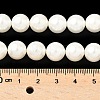 Shell Pearl Beads Strands BSHE-K015-10mm-03-2