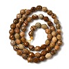 Natural Picture Jasper Beads Strands G-K376-F10-01-3