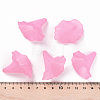 Transparent Acrylic Beads BSF796-C10-6