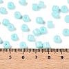 Opaque Baking Paint Glass Seed Beads SEED-T008-02N-5