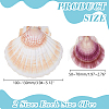 2 Styles Natural Shell SSHEL-WR0001-06A-2