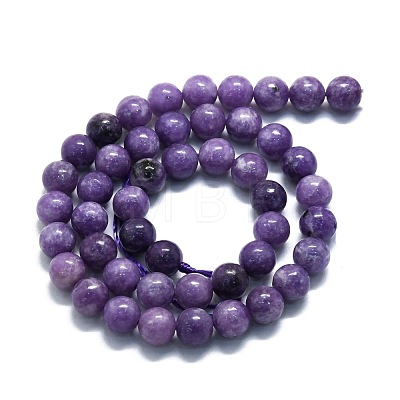 Natural Lepidolite/Purple Mica Stone Beads Strands G-P457-C03-09-1