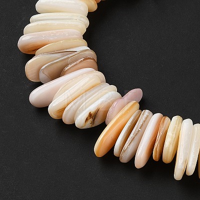 Natural Shell Beads Strands SHEL-D002-01A-1