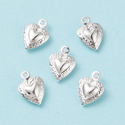 304 Stainless Steel Charms STAS-I138-14S-1