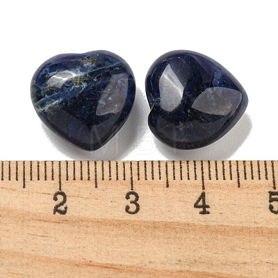 Natural Sodalite Beads G-P531-A10-01-1