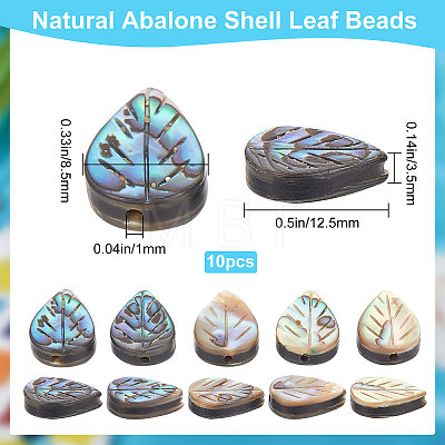 Natural Abalone Shell/Paua Shell Beads SHEL-BBC0001-01-1