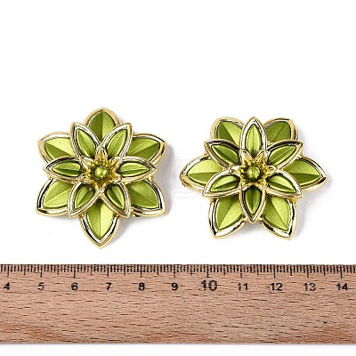 Matte Spray Painted Acrylic Beads OACR-N159-01A-1