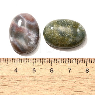 Natural Indian Agate Gemstone Cabochons G-T020-18x25mm-27-1