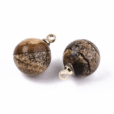 Natural Picture Jasper Charms G-N332-024G-05-1