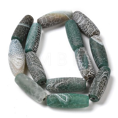 Natural Weathered Agate Beads Strands G-Q169-D04-01B-1