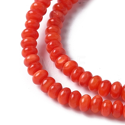 Natural Freshwater Shell Beads Strands SSHEL-C013-08A-1