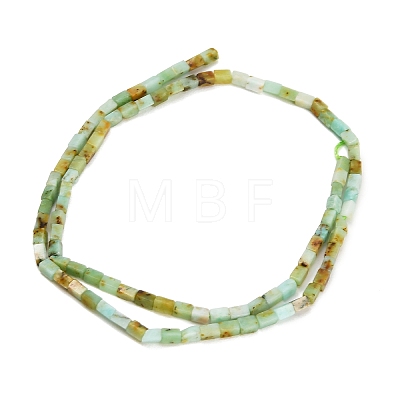 Natural Serpentine Beads Strands GG-CBA2498-B02-01-1