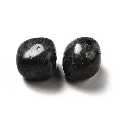 Natural Larvikite Beads G-G979-A14-1