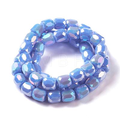 Electroplate Opaque Glass Beads GLAA-F108-10A-03-1