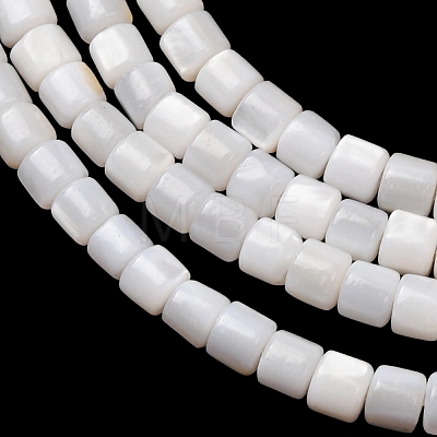 Natural Freshwater Shell Beads Strands SH-CBA2978-21C-1