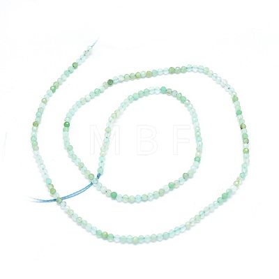 Natural Chrysoprase Beads Strands G-O180-01C-1