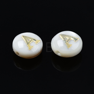 Natural Freshwater Shell Beads SHEL-S278-036A-1