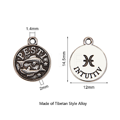 Tibetan Style Alloy Charms TIBE-CJ0001-05-1