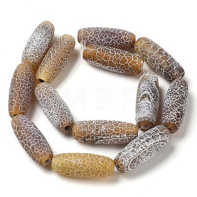 Natural Weathered Agate Beads Strands G-Q169-D04-01A-1