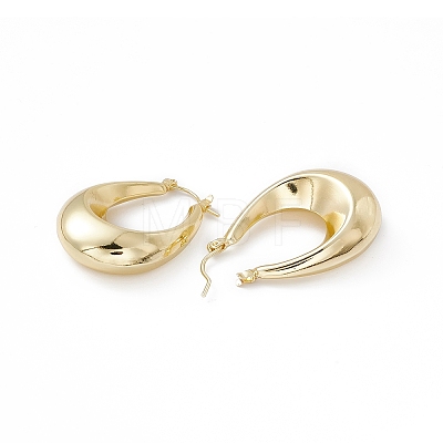 Brass Teardrop Thick Hoop Earrings for Women EJEW-I270-07G-1