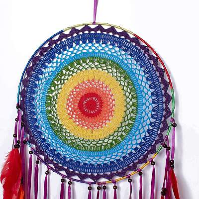 Native Style Iron Ring Woven Net/Web with Feather Wall Hanging Decoration HJEW-A001-09-1
