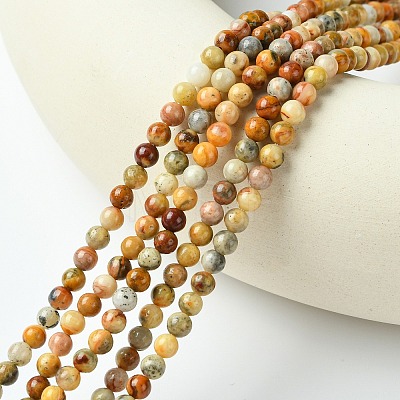 Natural Crazy Lace Agate Round Bead Strands X-G-E334-4mm-20-1