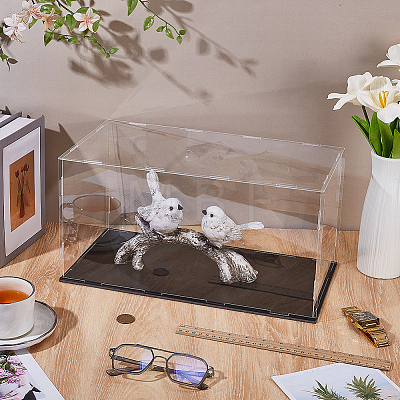 Acrylic Display Boxes CON-WH0089-163B-1
