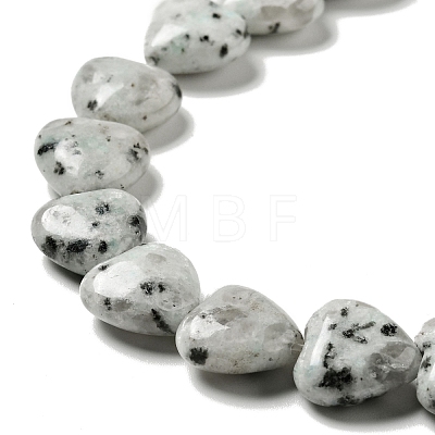 Natural Sesame Jasper/Kiwi Jasper Beads Strands G-B022-12C-1