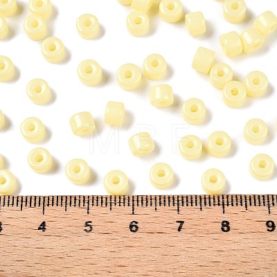 Opaque Baking Paint Glass Seed Beads SEED-T008-02B-1