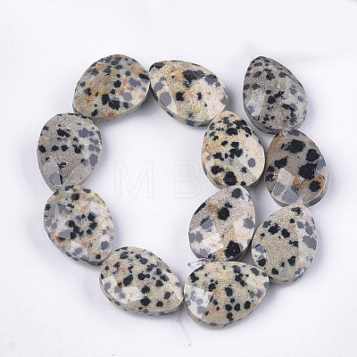 Natural Dalmatian Jasper Beads Strands G-S354-05-1