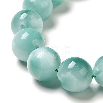 Natural Glass Beads Strands G-I247-31E-1