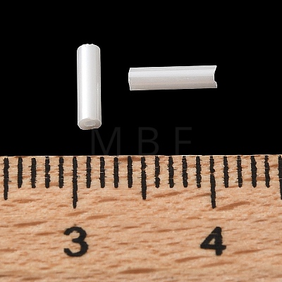 Baking Paint Glass Beads GL-G001-04E-1
