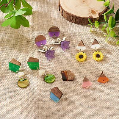 DIY 12 Pairs 12 Style Two Tone Resin & Walnut Wood Stud Earring Findings DIY-CW0001-35-1