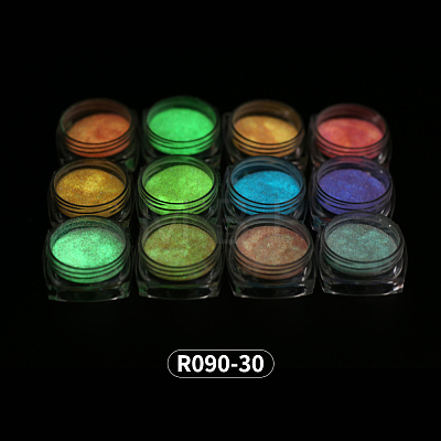 12 Colors Nail Art Luminous Powder MRMJ-R090-30-1