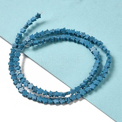 Dyed Synthetic Turquoise Beads Strands G-G085-B31-01-1