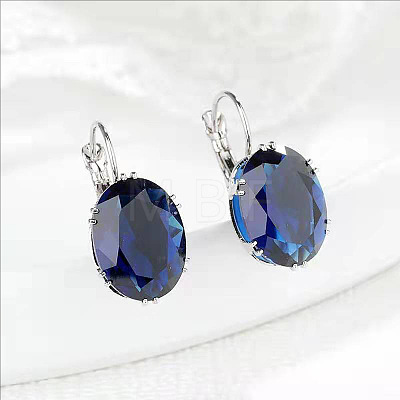 Oval Alloy Rhinestone Leverback Earrings FS-WG5DBAA-01-1
