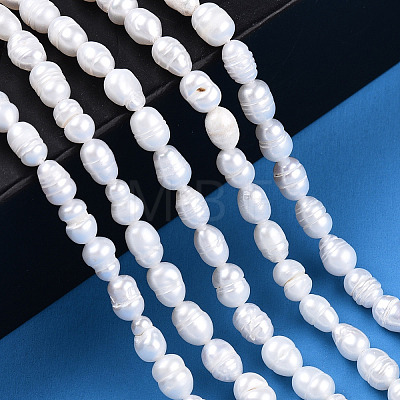 Natural Cultured Freshwater Pearl Beads Strands PEAR-N012-03J-1